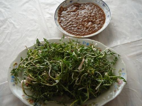 ��Ұ������(d��ng)�� ���������ⶾ�A(y��)�����Y