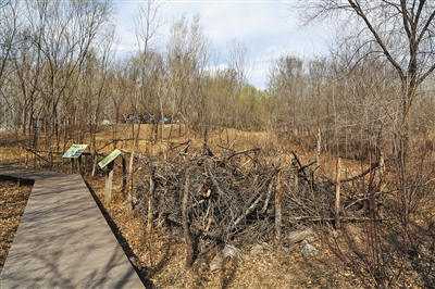 ÿ��(g��)���й��@�����ٽ�һ̎����(d��ng)��֮�ҡ�